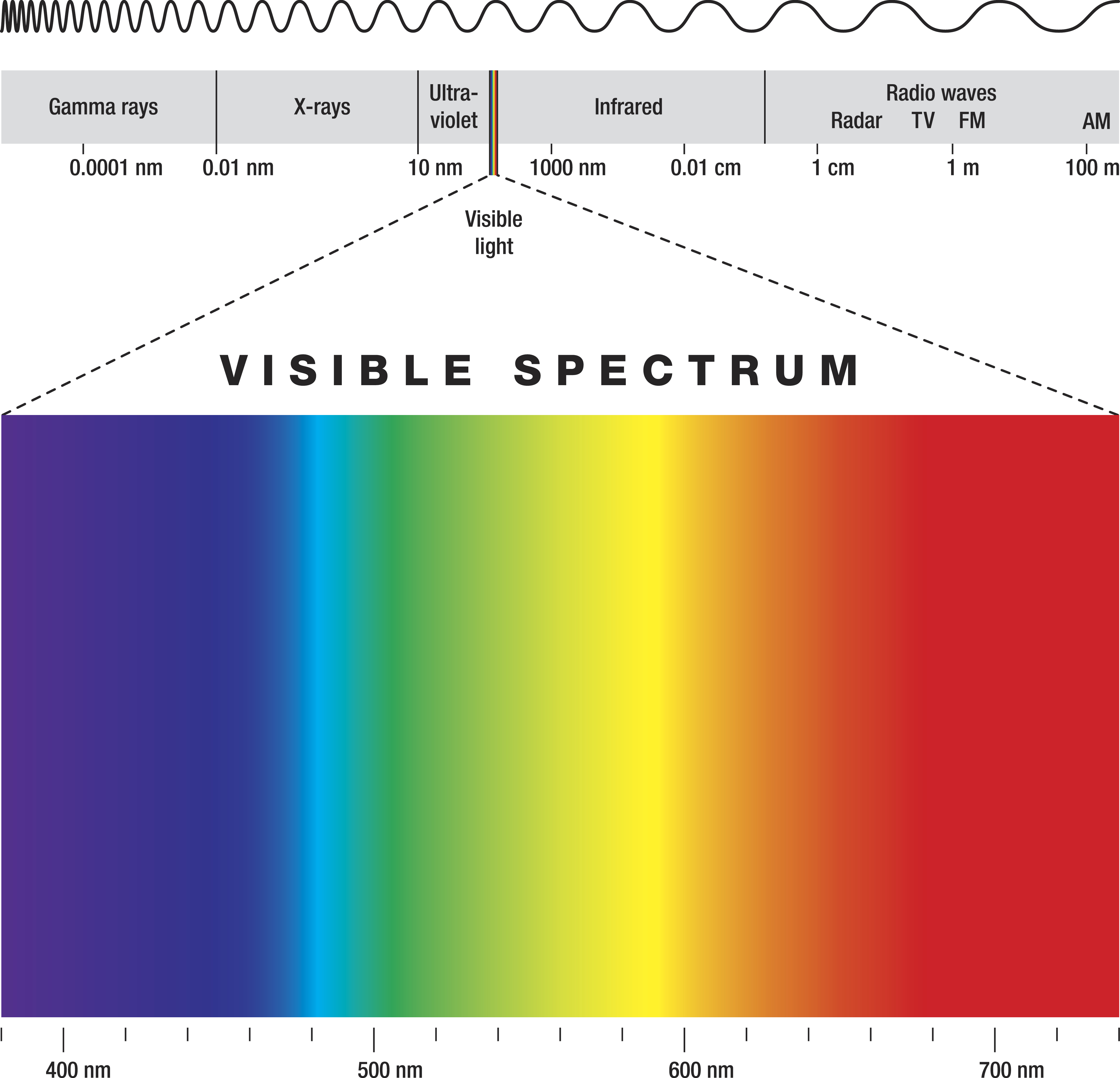 Spectrum of visible light