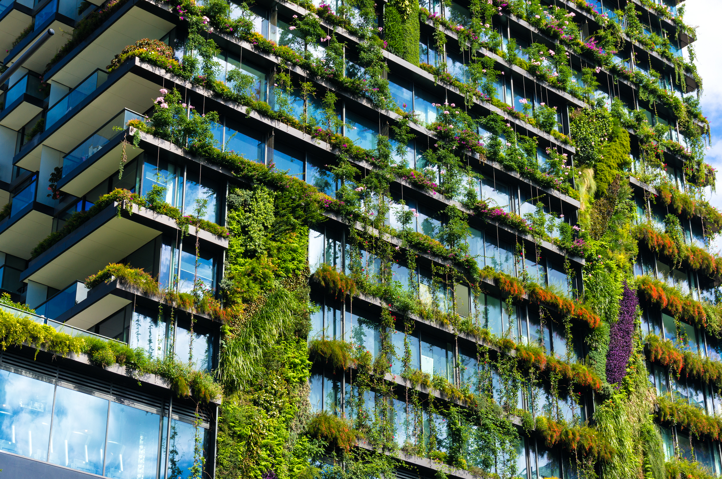 Inclusion of greenery and biodiversity is on the rise in new building and development planning