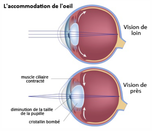 Eye diagram FR