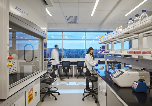 technicians in the lab space perform research while smart windows provide glare and thermal control