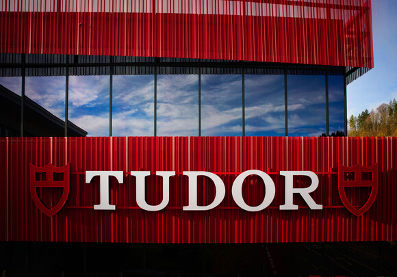 Zoom on the symbol of Tudor. 
